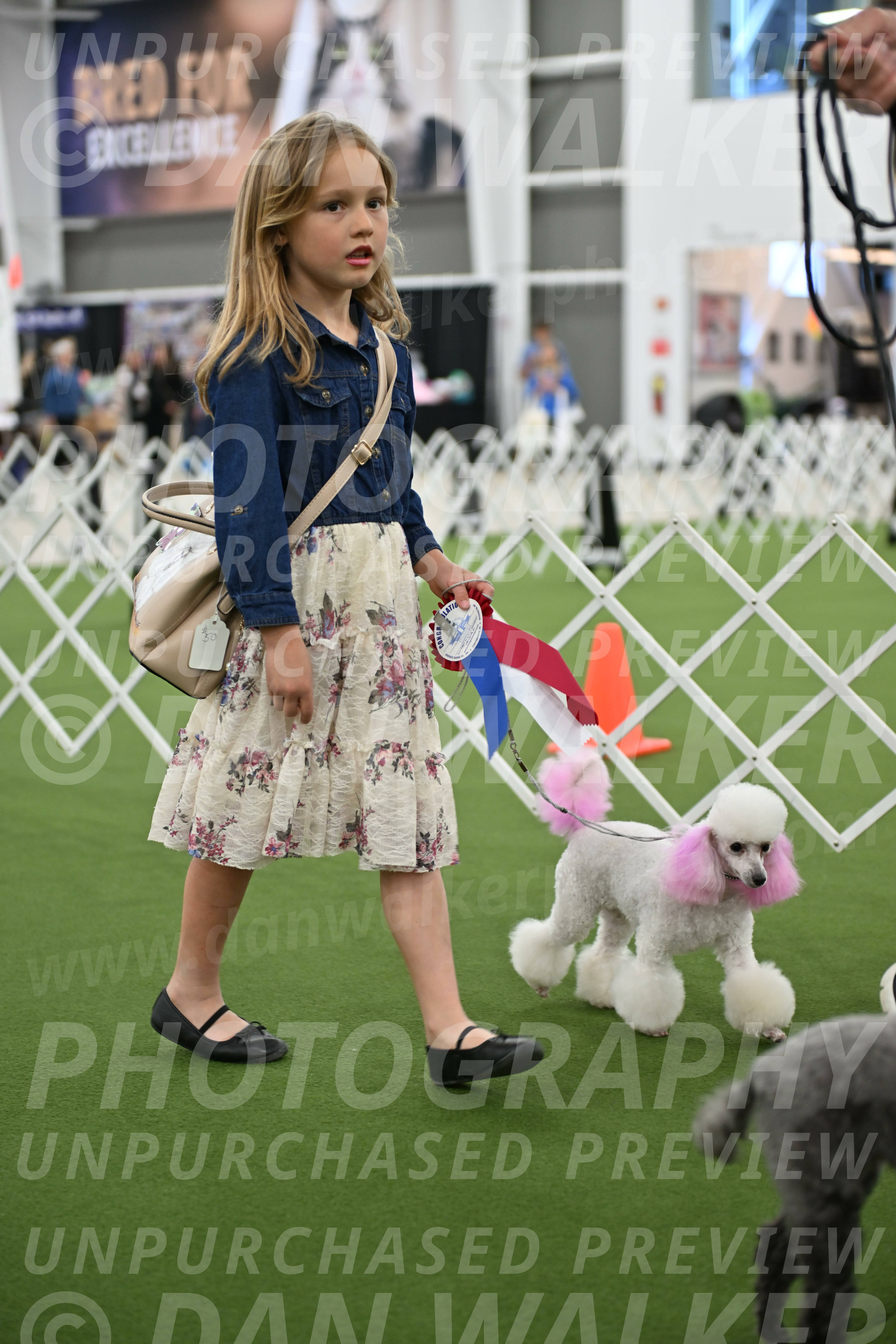 Parade-of-Rescues_2108