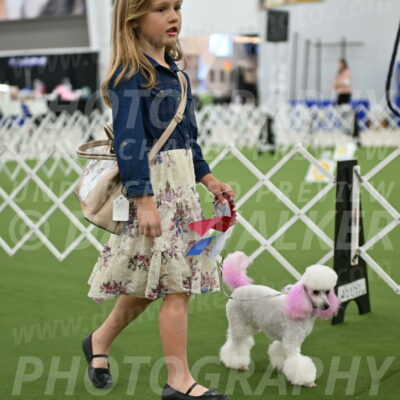 Parade-of-Rescues_2110