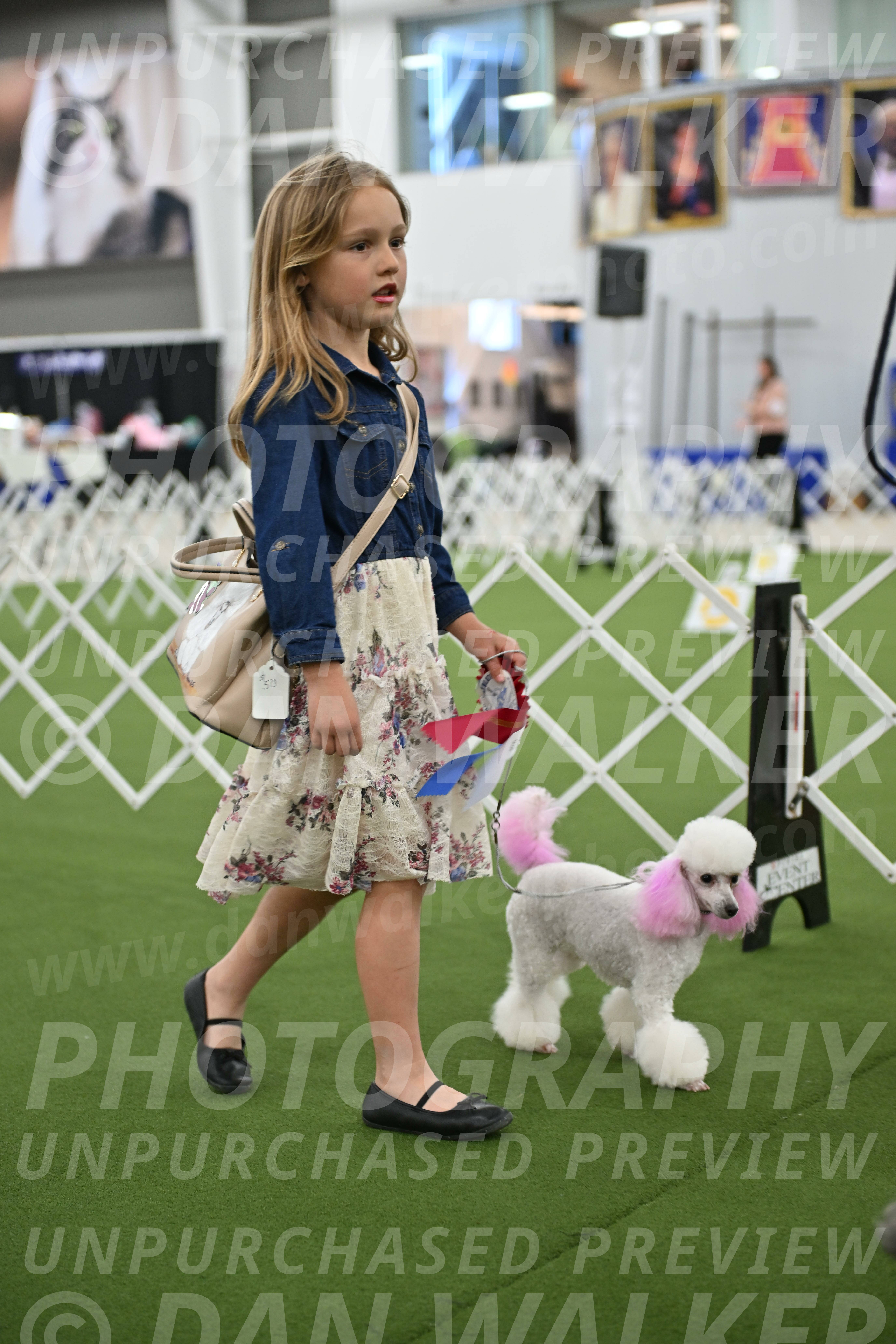 Parade-of-Rescues_2110