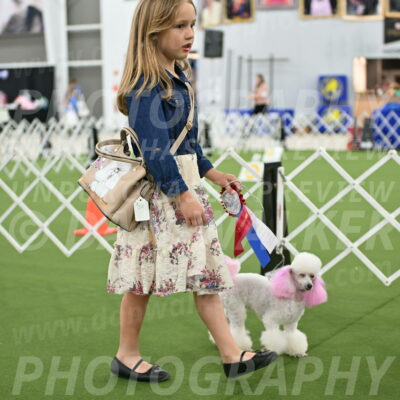 Parade-of-Rescues_2112