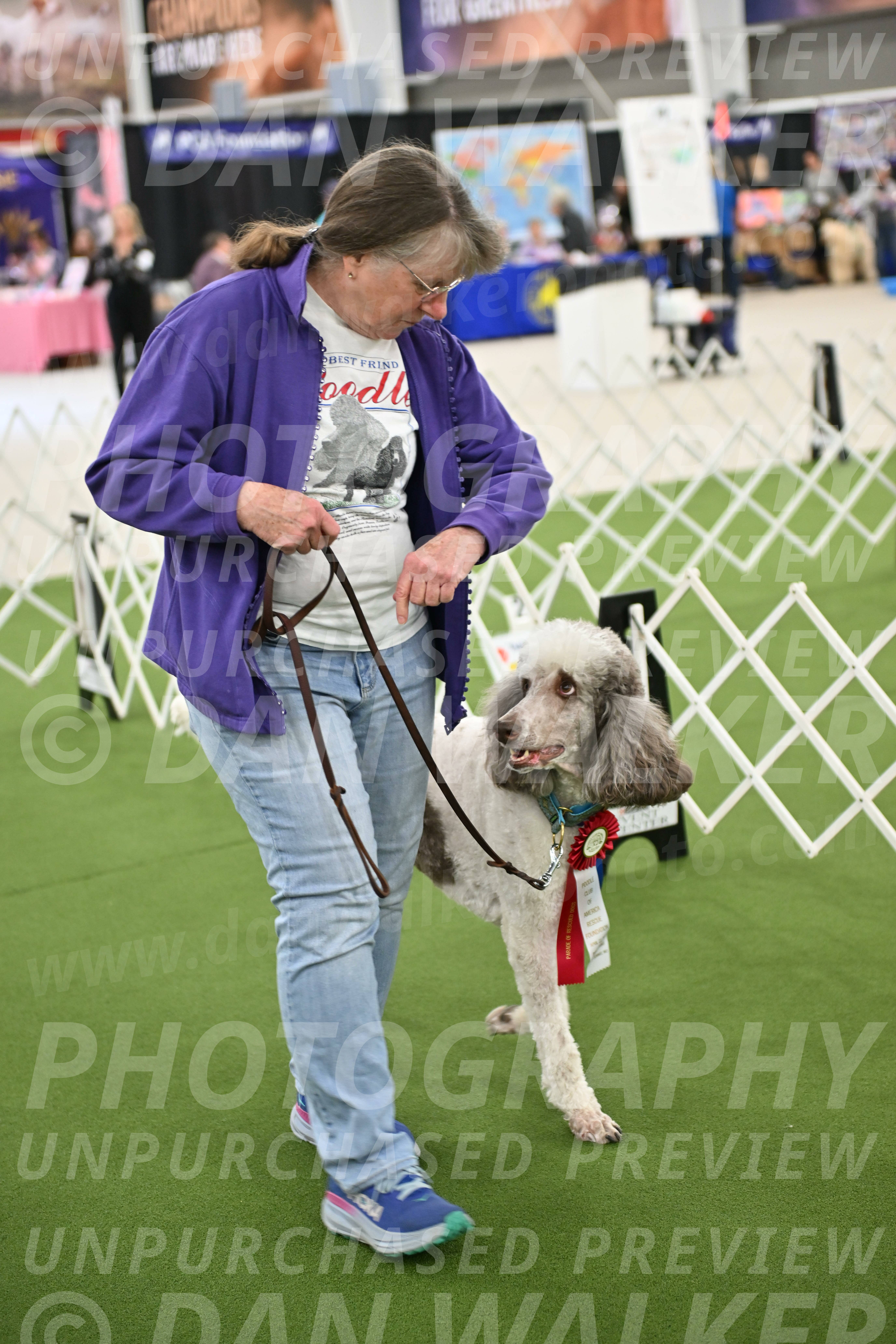 Parade-of-Rescues_2116