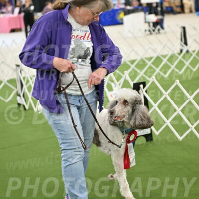 Parade-of-Rescues_2116