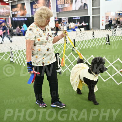 Parade-of-Rescues_2121