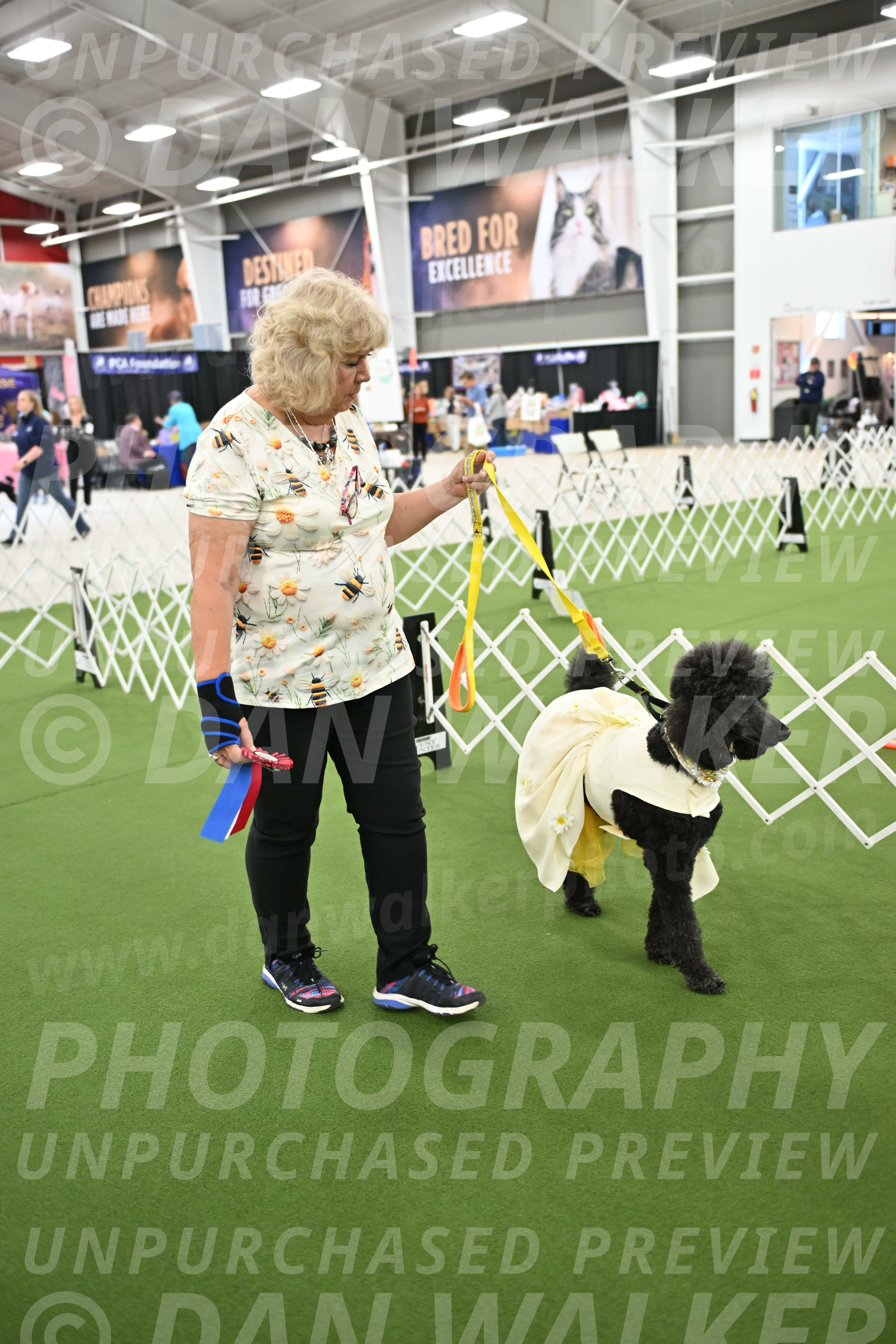 Parade-of-Rescues_2121