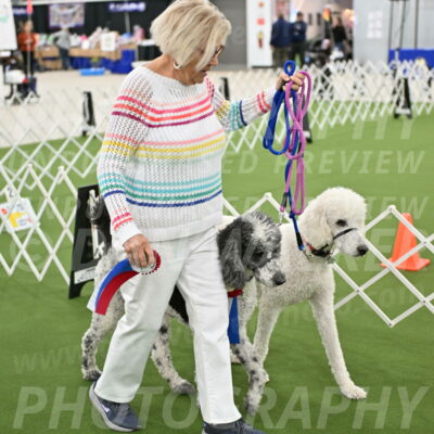 Parade-of-Rescues_2123