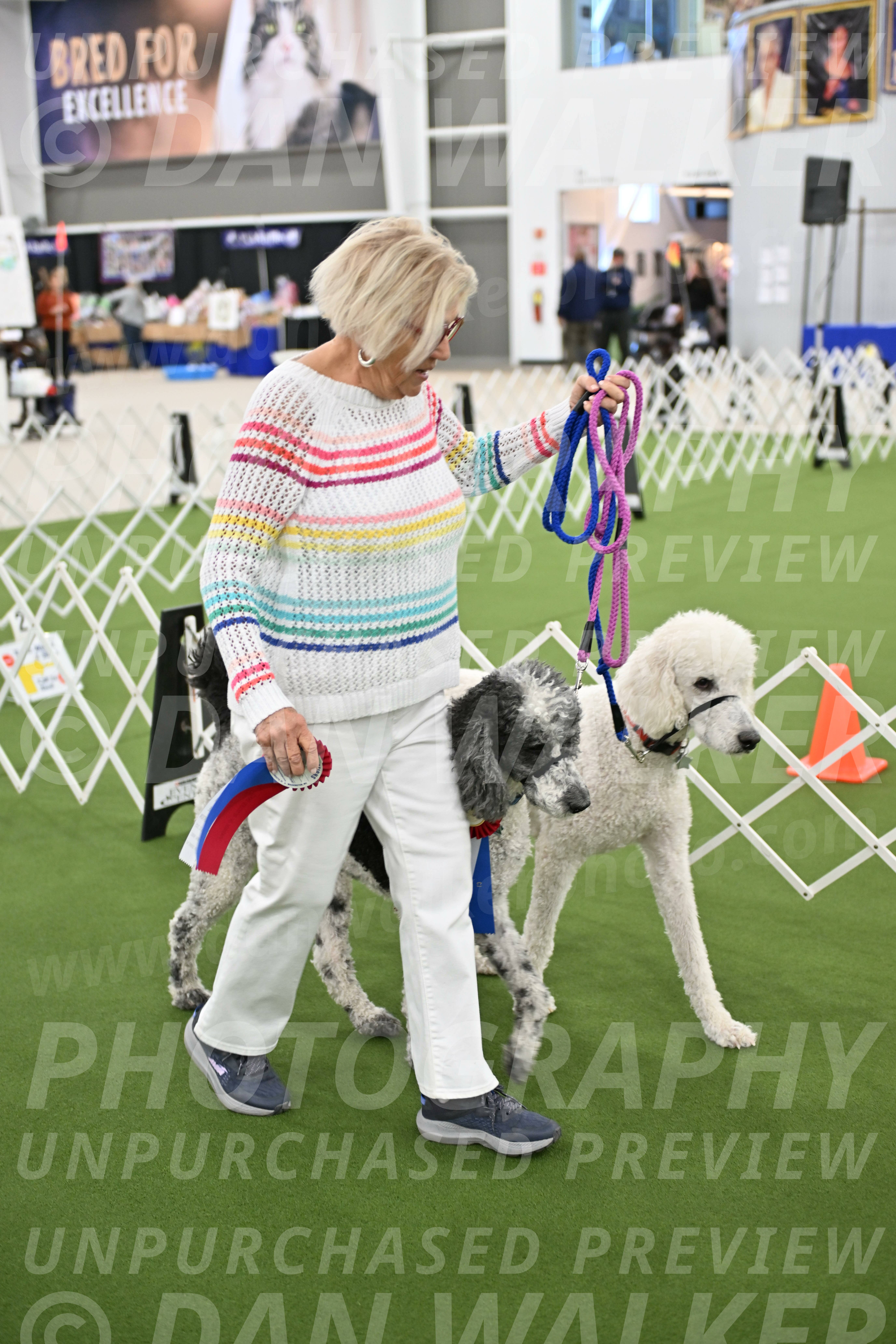 Parade-of-Rescues_2123