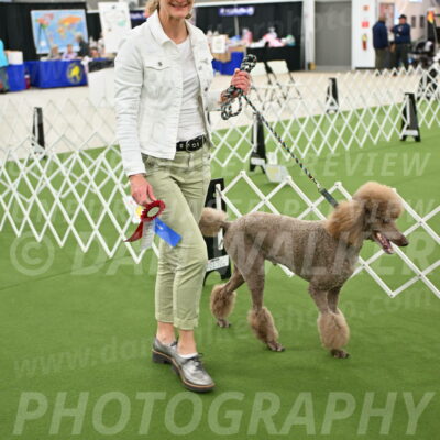 Parade-of-Rescues_2124