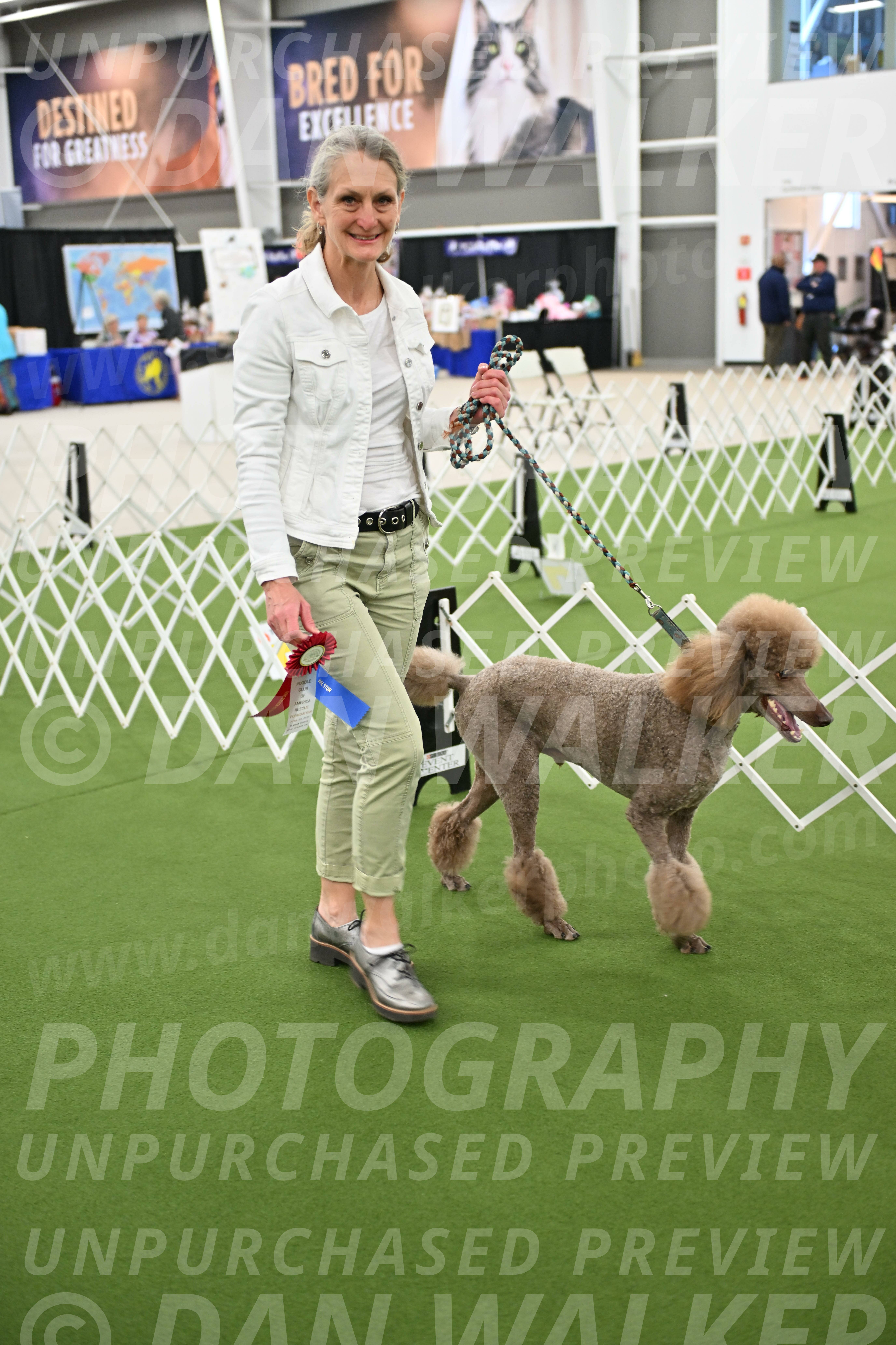 Parade-of-Rescues_2124