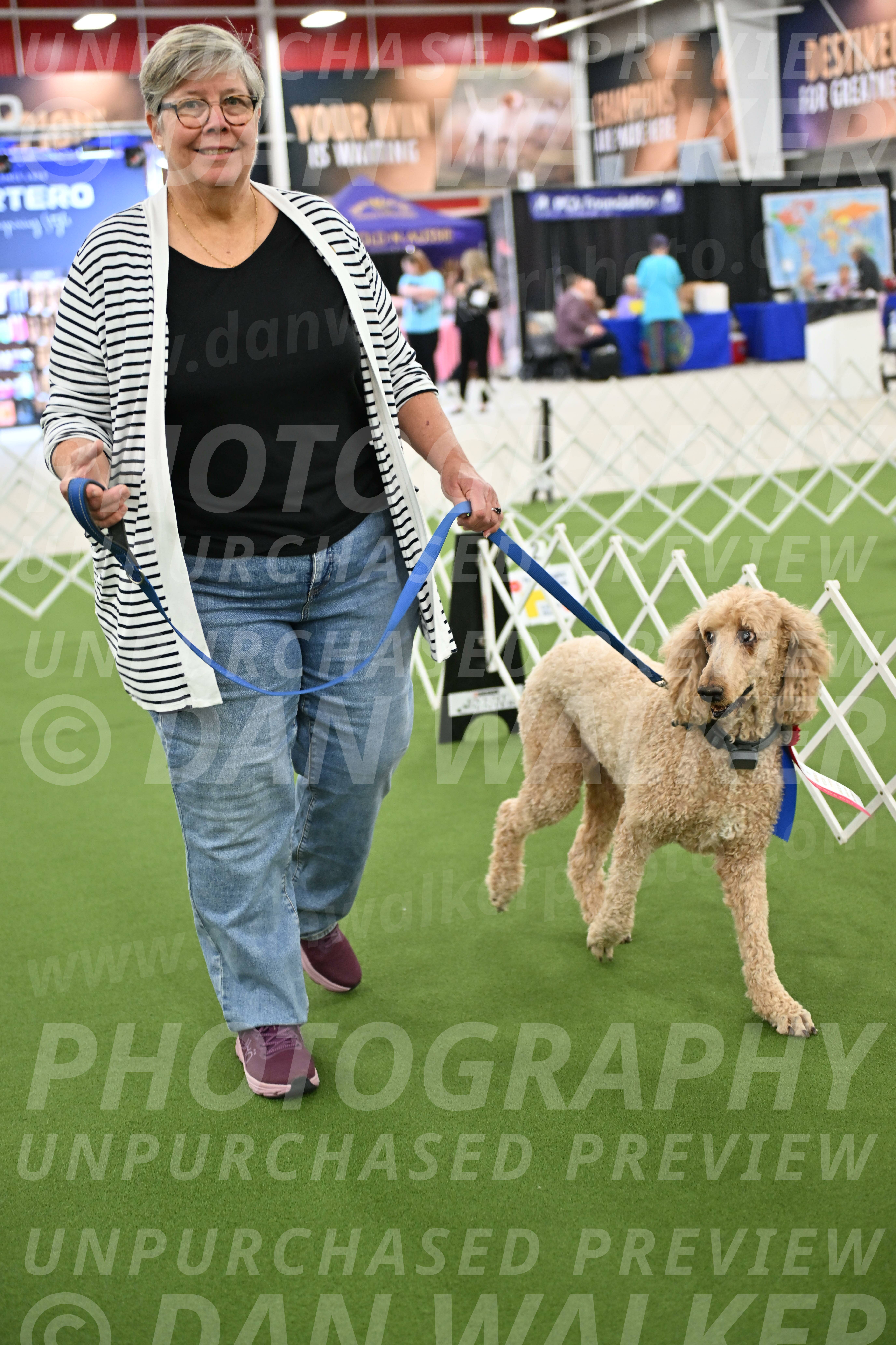 Parade-of-Rescues_2126