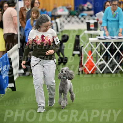 Parade-of-Titles_2678