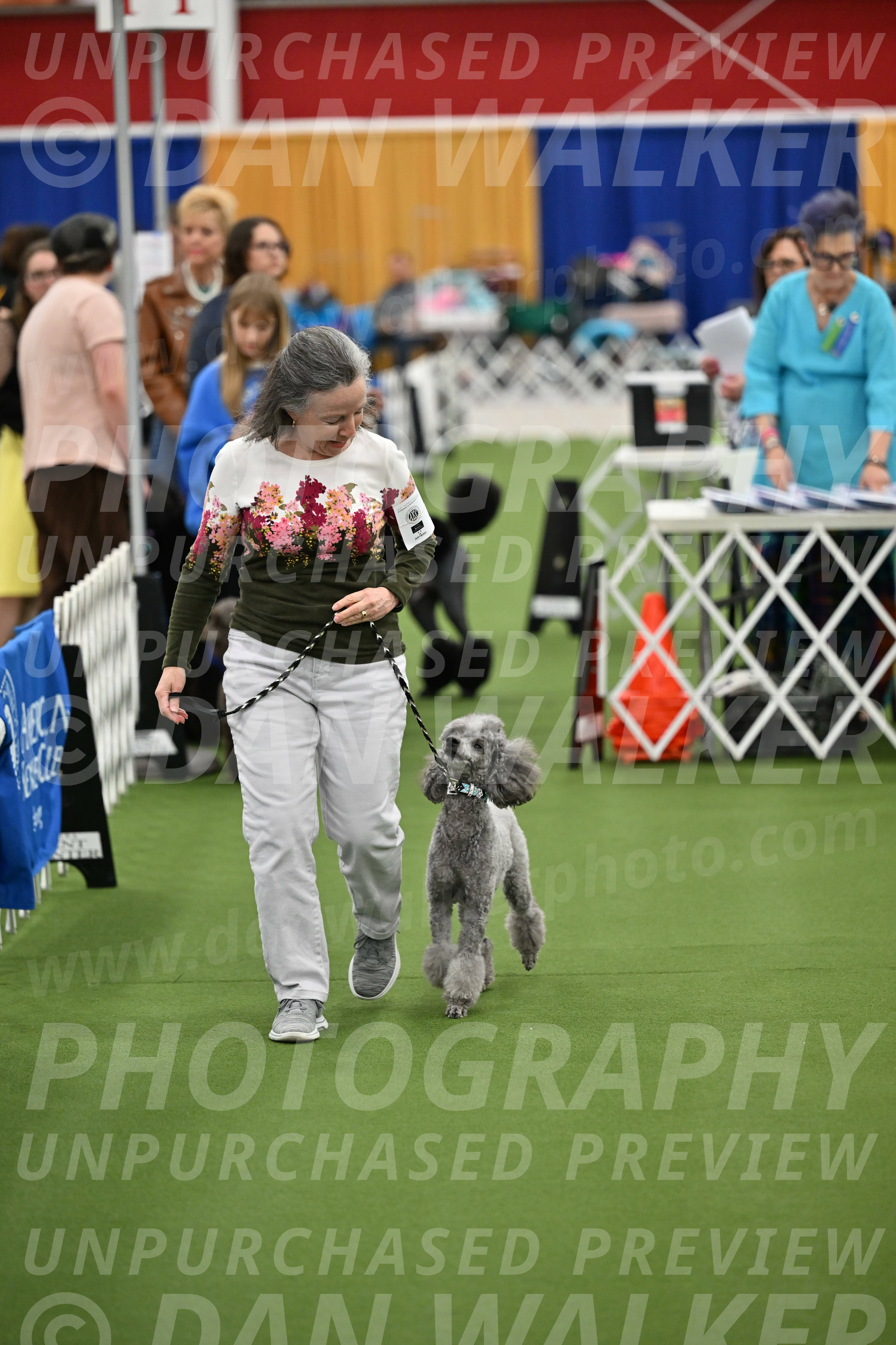 Parade-of-Titles_2678