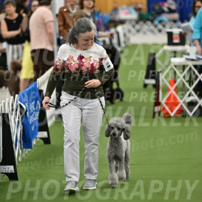 Parade-of-Titles_2680