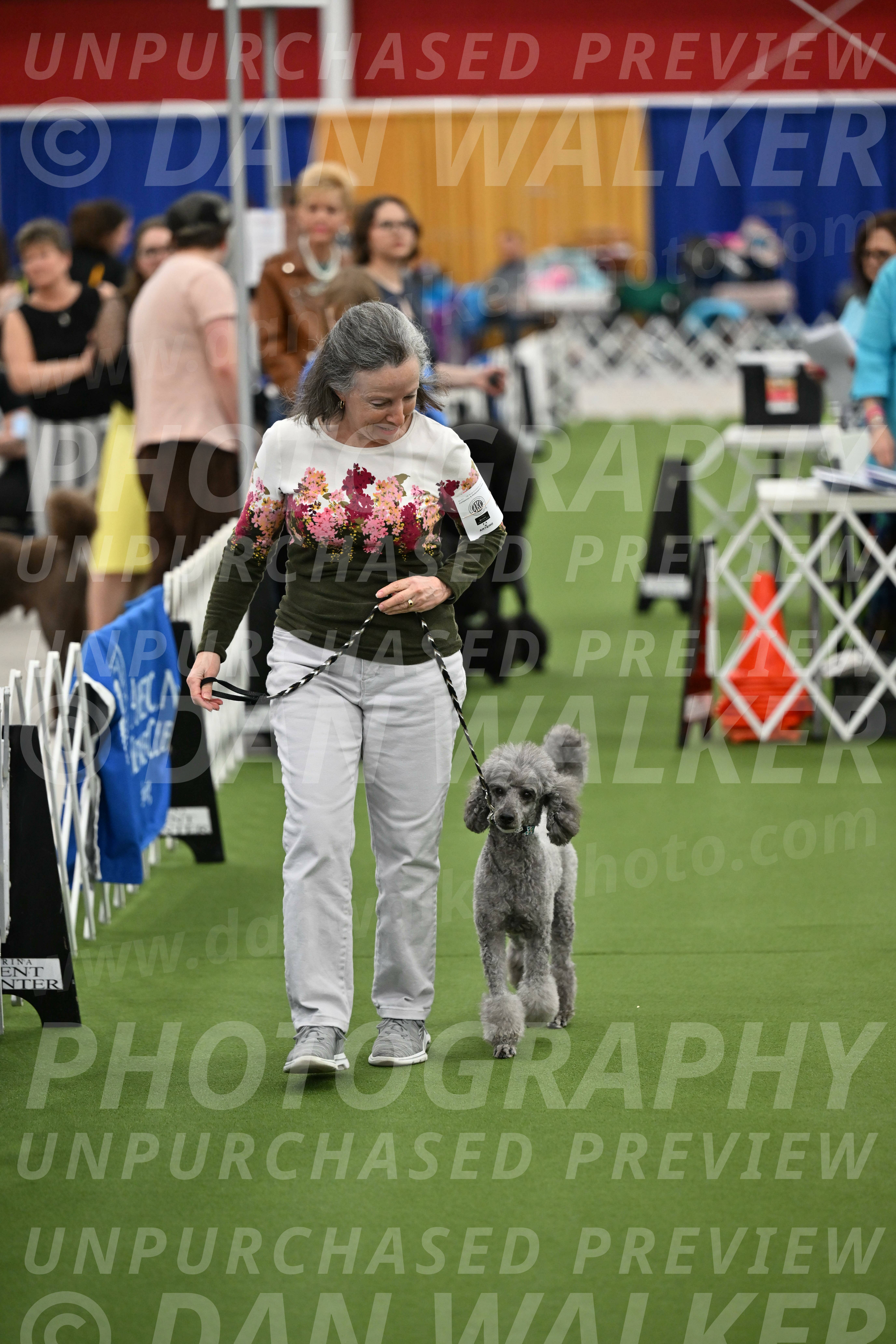 Parade-of-Titles_2680