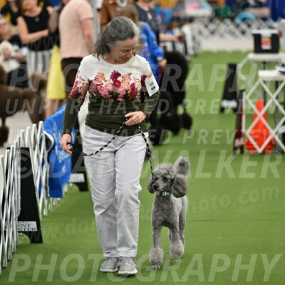 Parade-of-Titles_2681