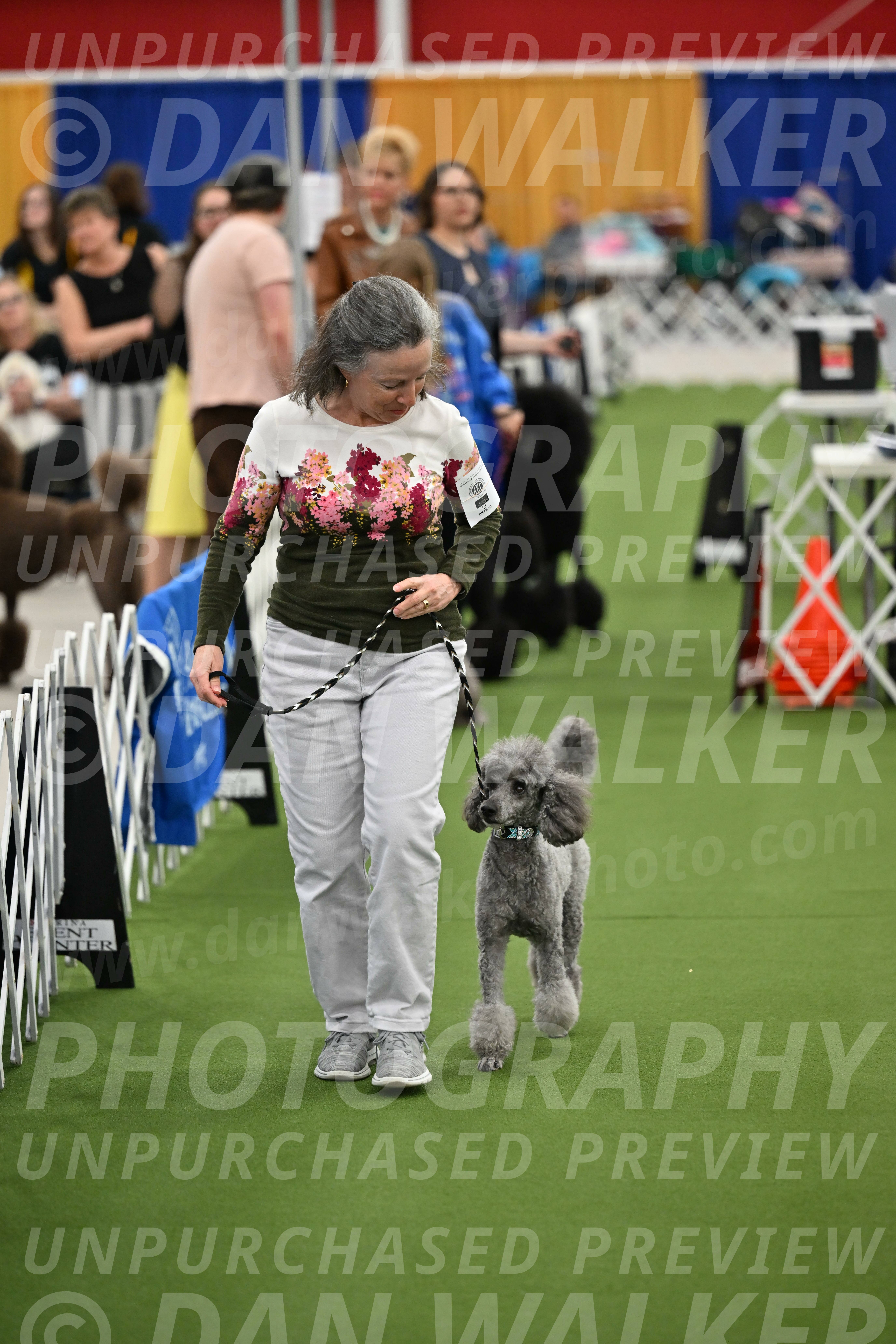 Parade-of-Titles_2681