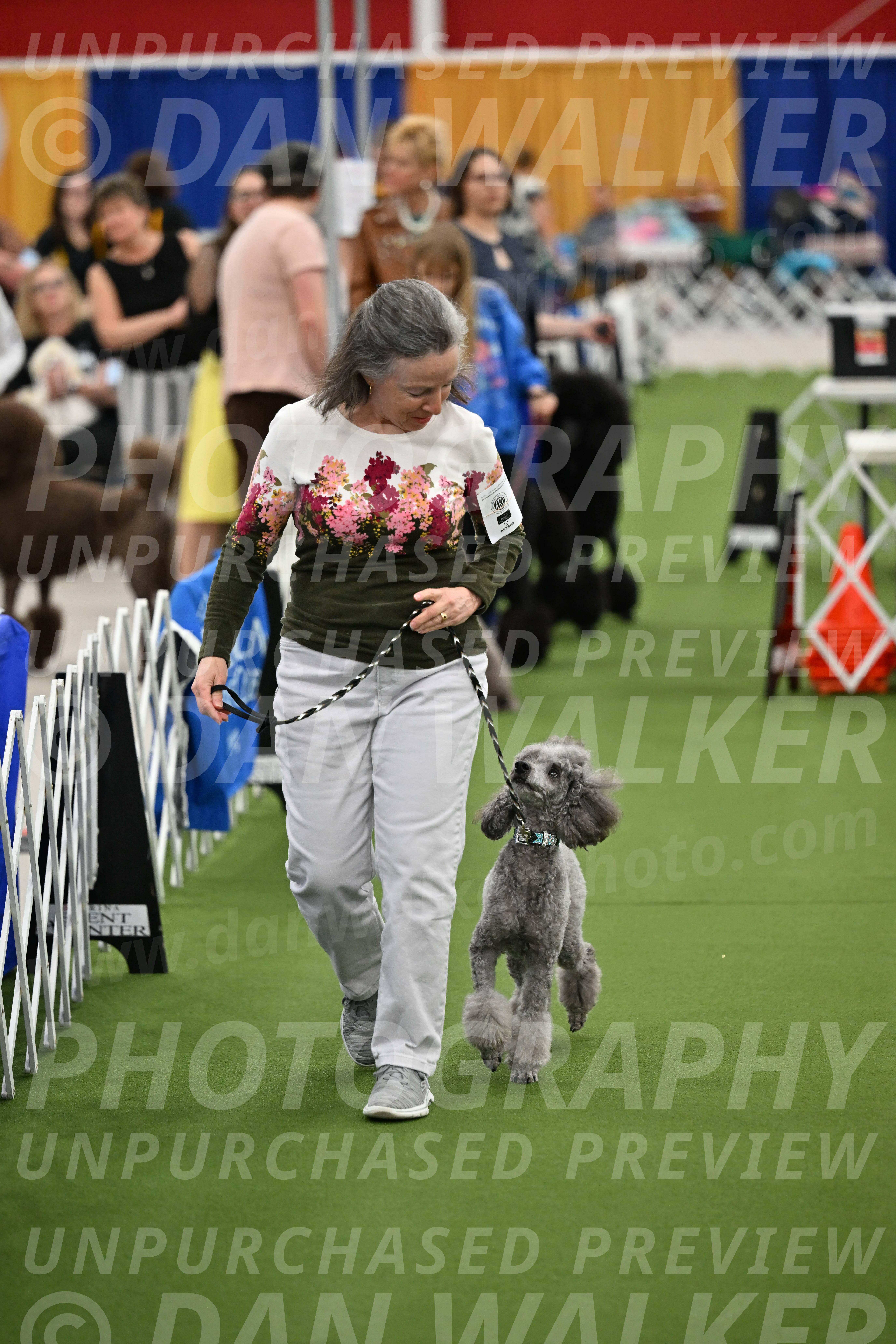 Parade-of-Titles_2682