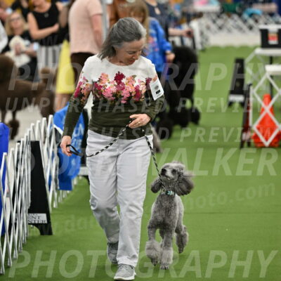 Parade-of-Titles_2682