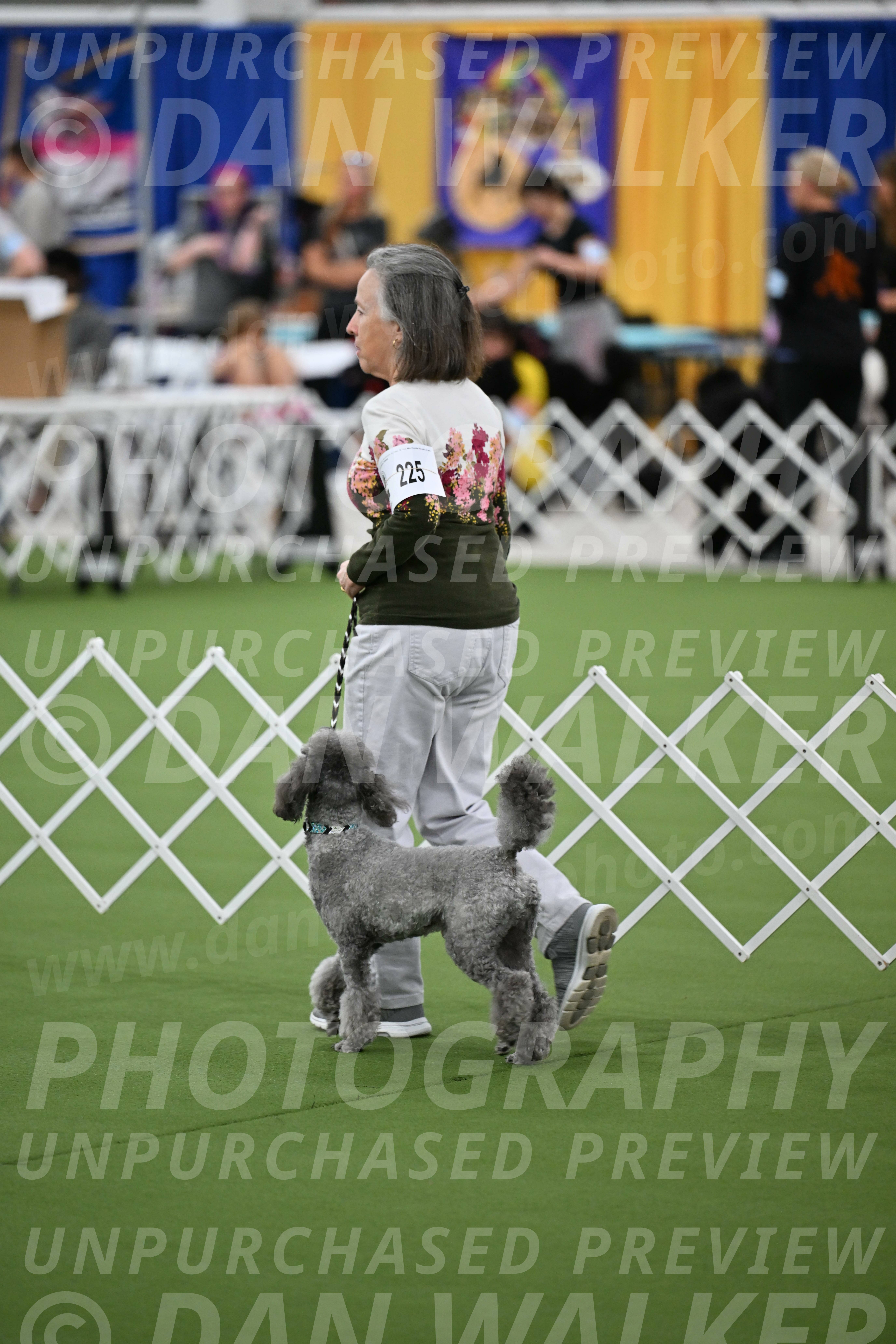 Parade-of-Titles_2683