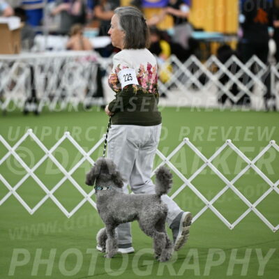 Parade-of-Titles_2683