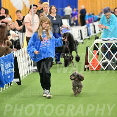 Parade-of-Titles_2684