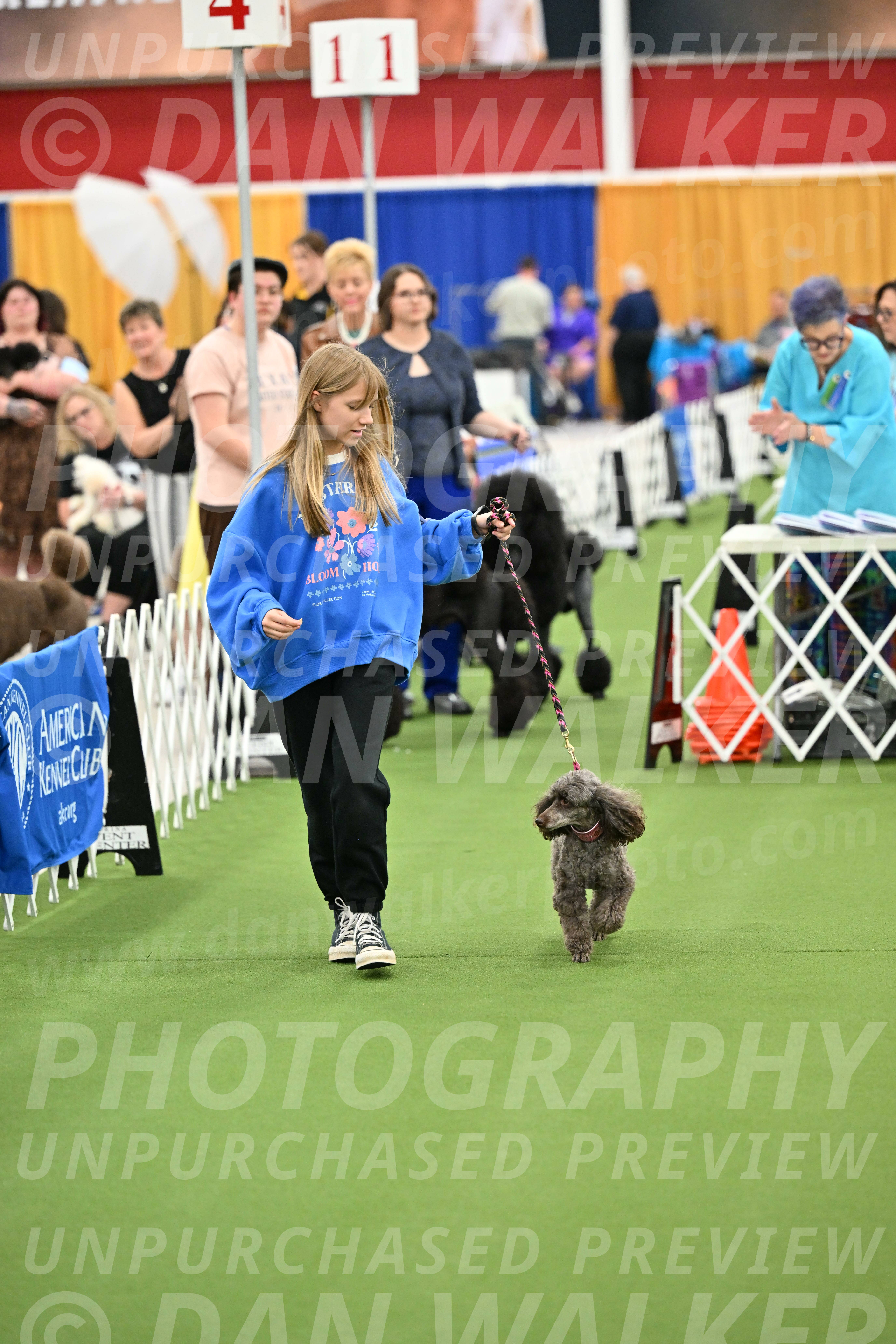 Parade-of-Titles_2684