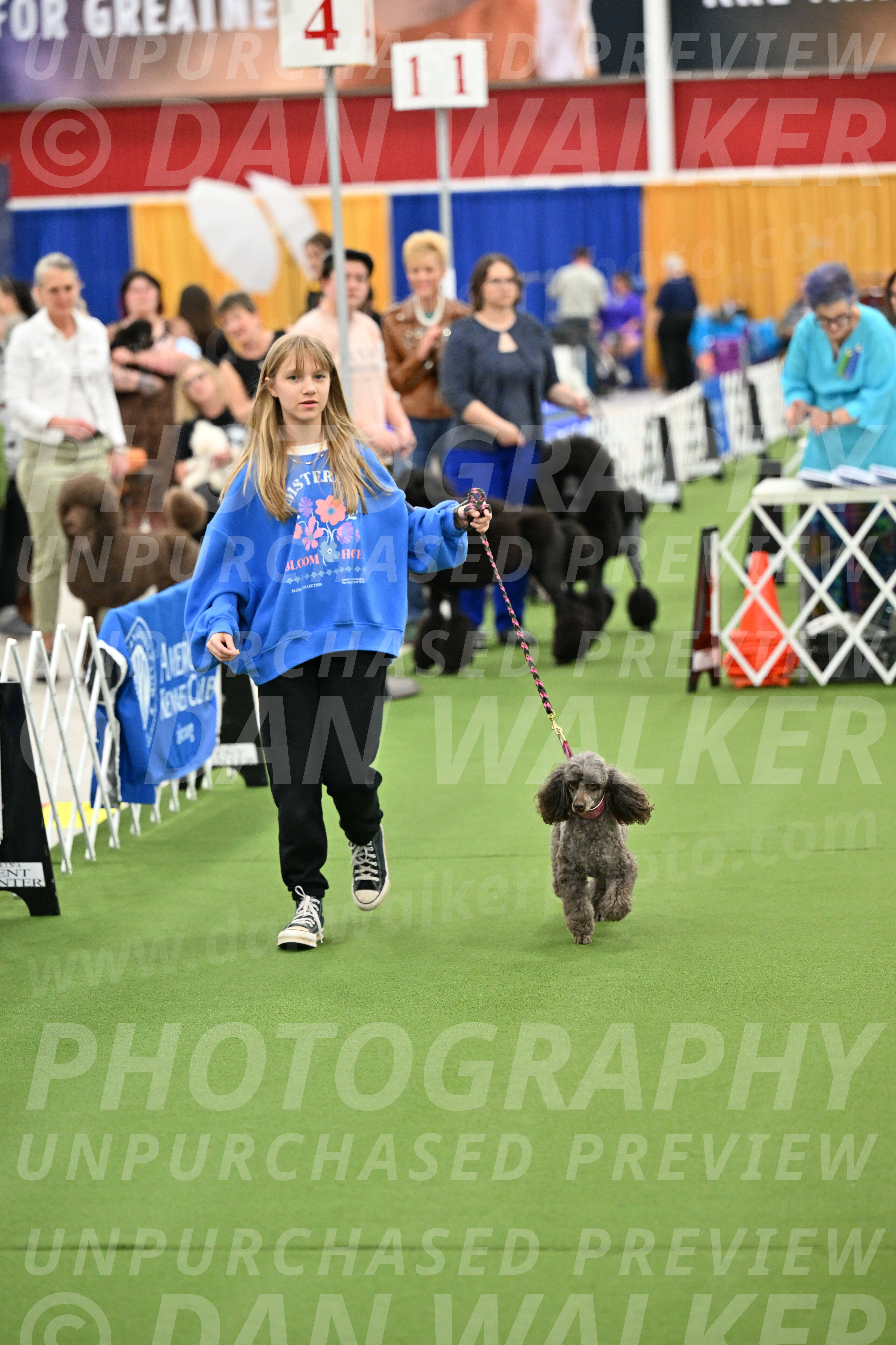 Parade-of-Titles_2685