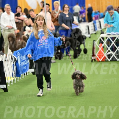 Parade-of-Titles_2685