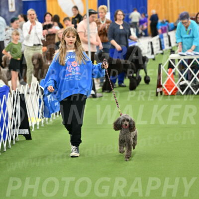 Parade-of-Titles_2686