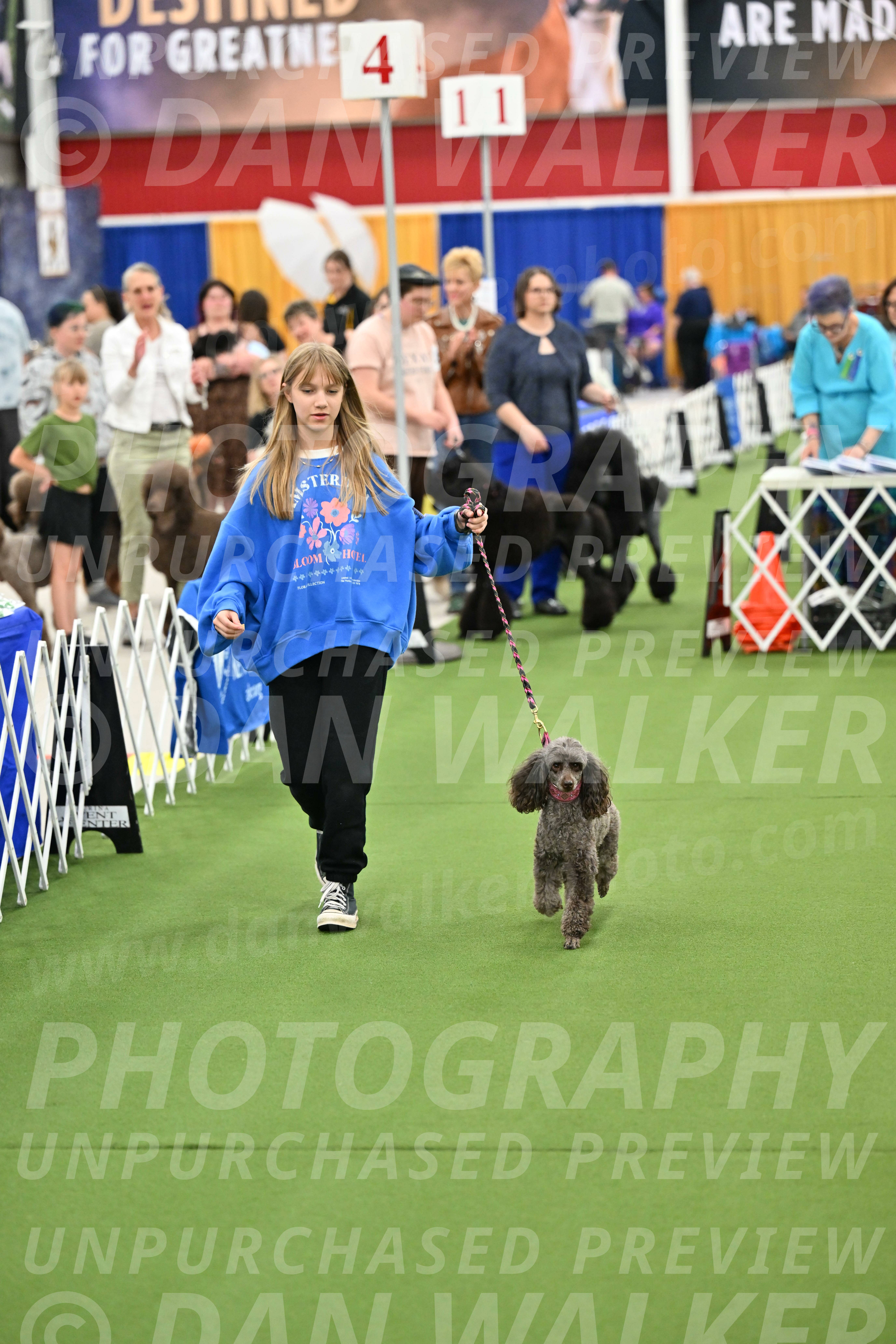 Parade-of-Titles_2686