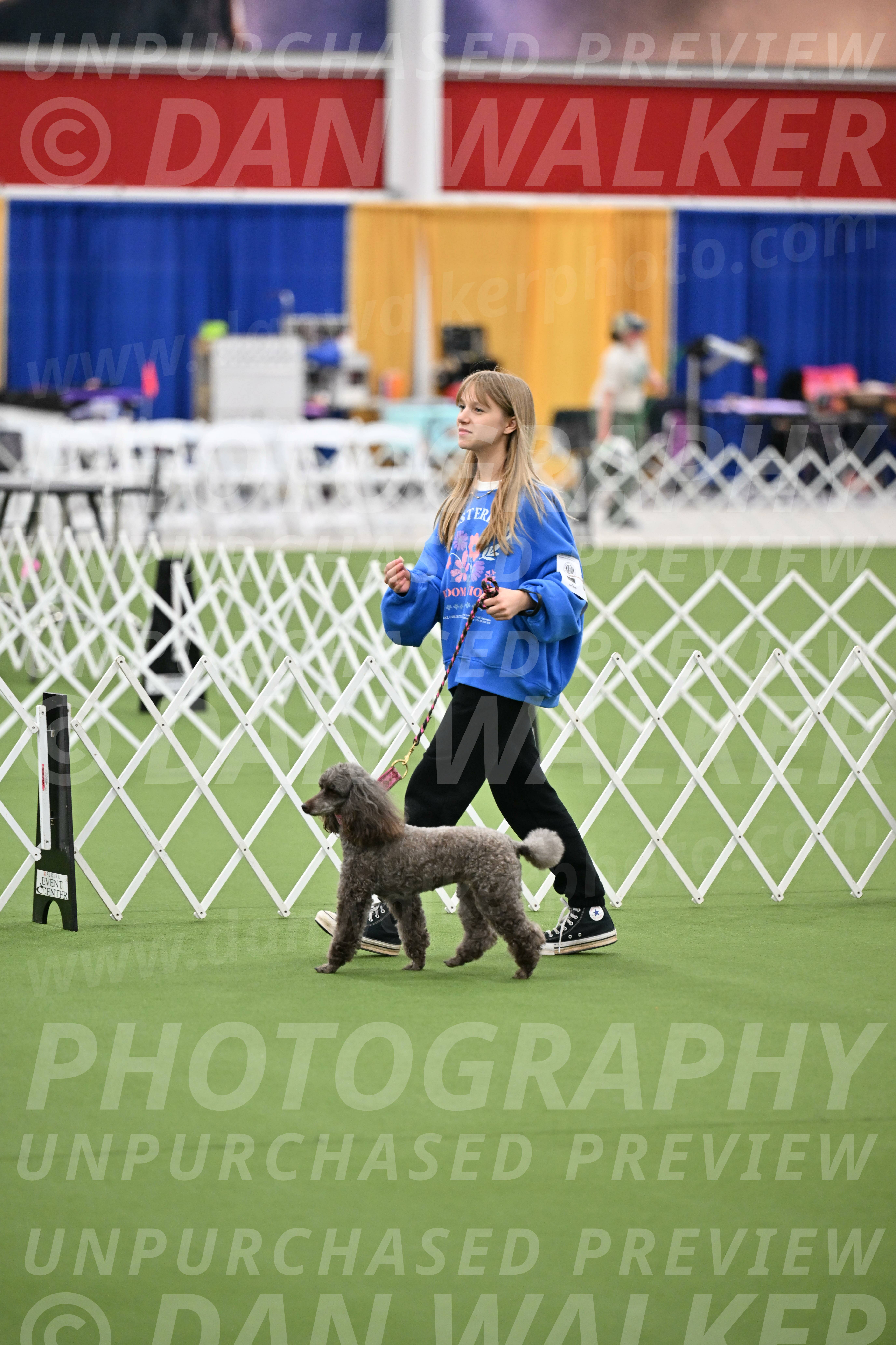 Parade-of-Titles_2688