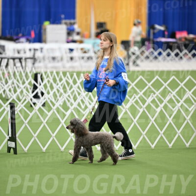 Parade-of-Titles_2688