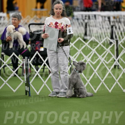 Parade-of-Titles_2689