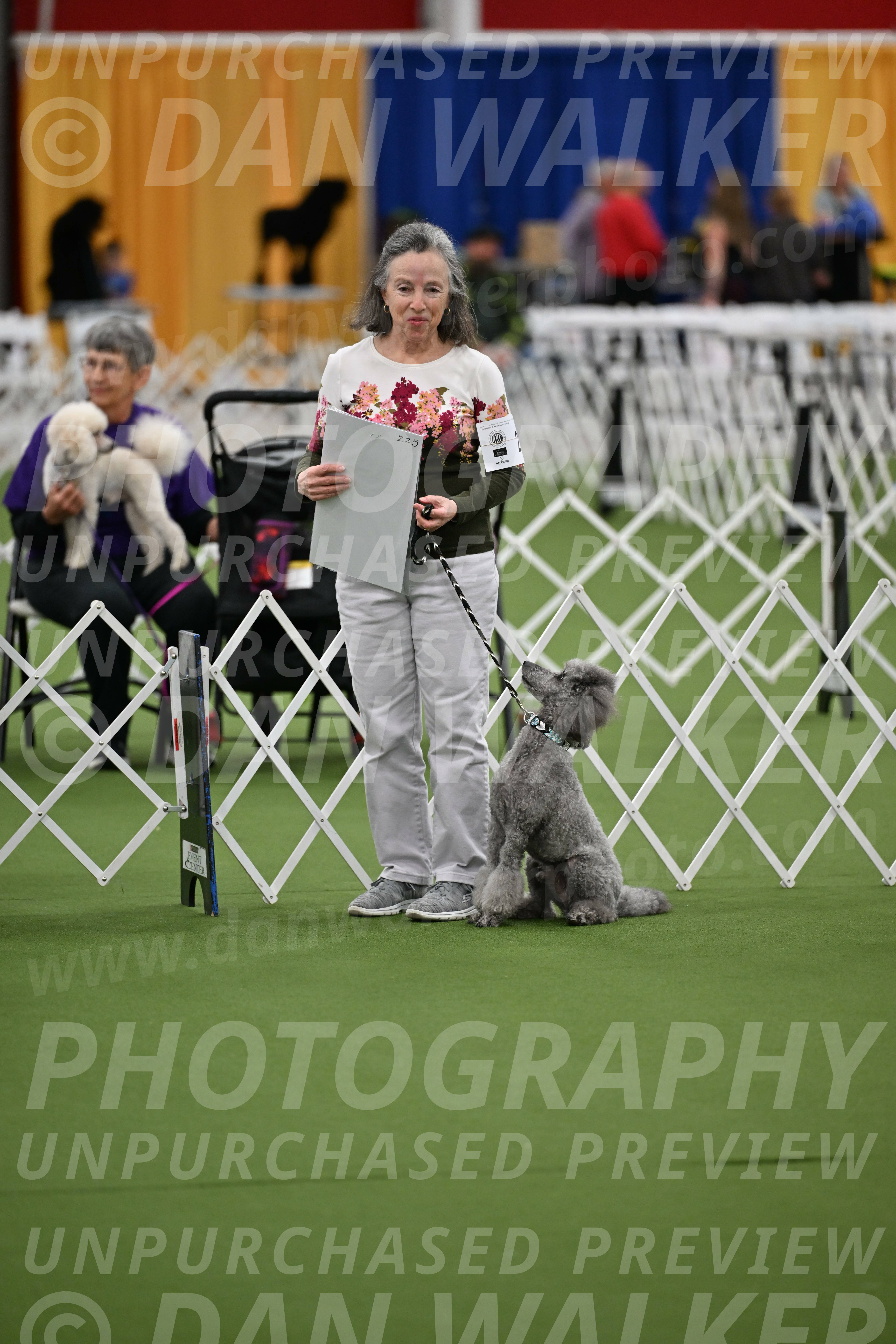 Parade-of-Titles_2689