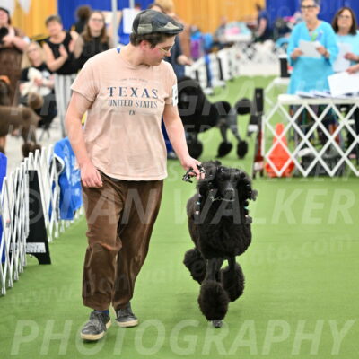 Parade-of-Titles_2691