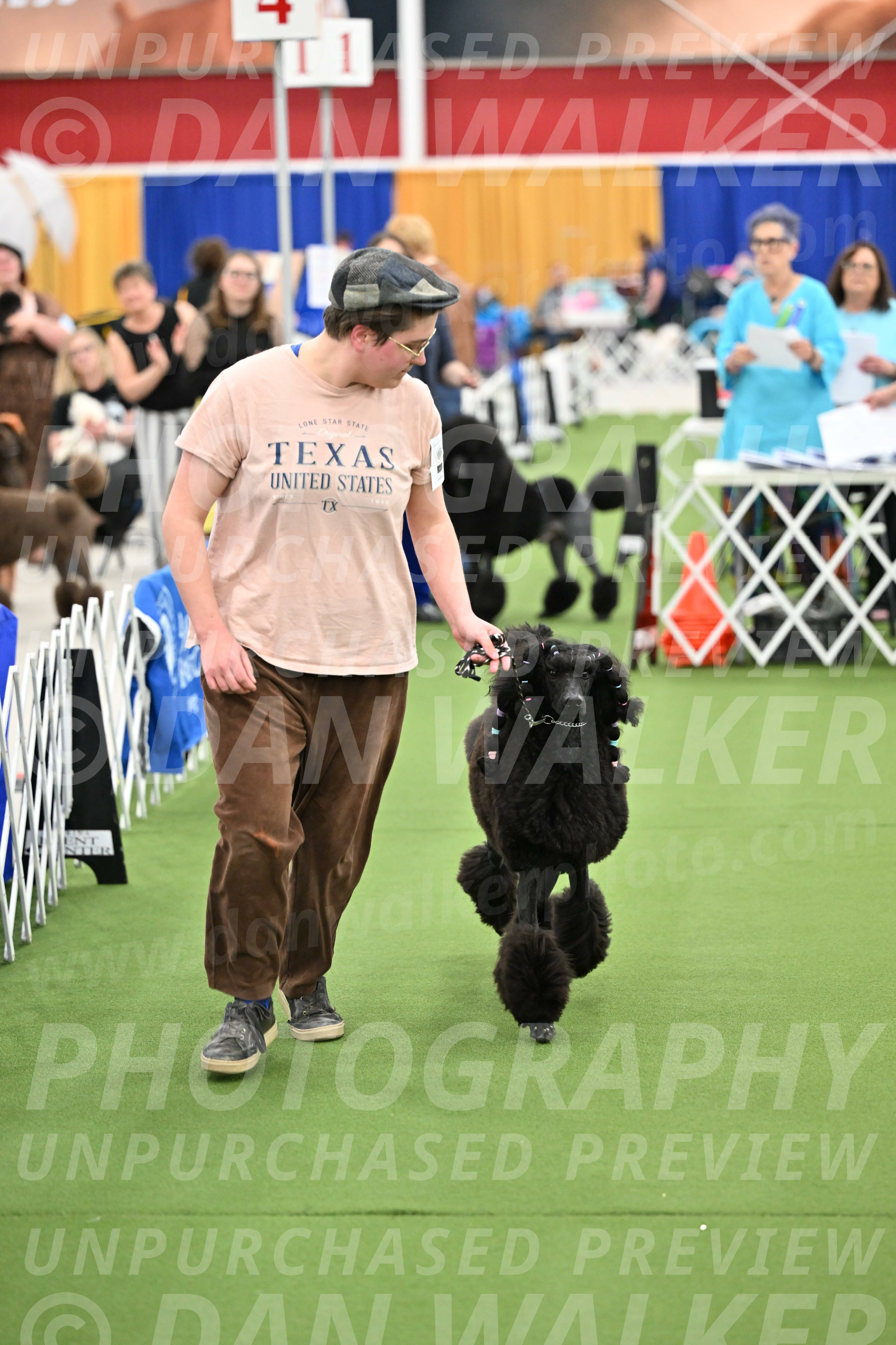 Parade-of-Titles_2691