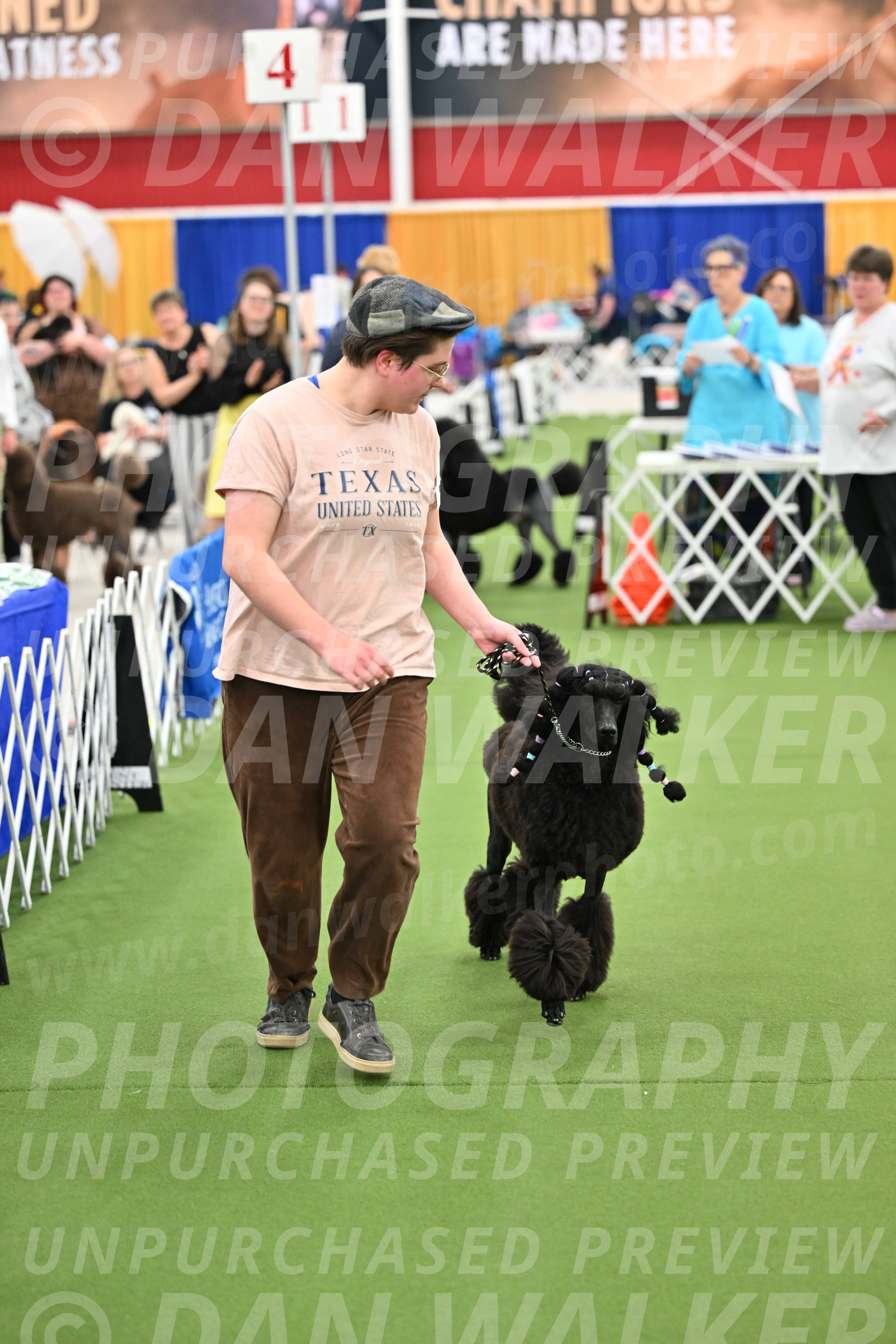 Parade-of-Titles_2692