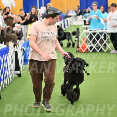 Parade-of-Titles_2692