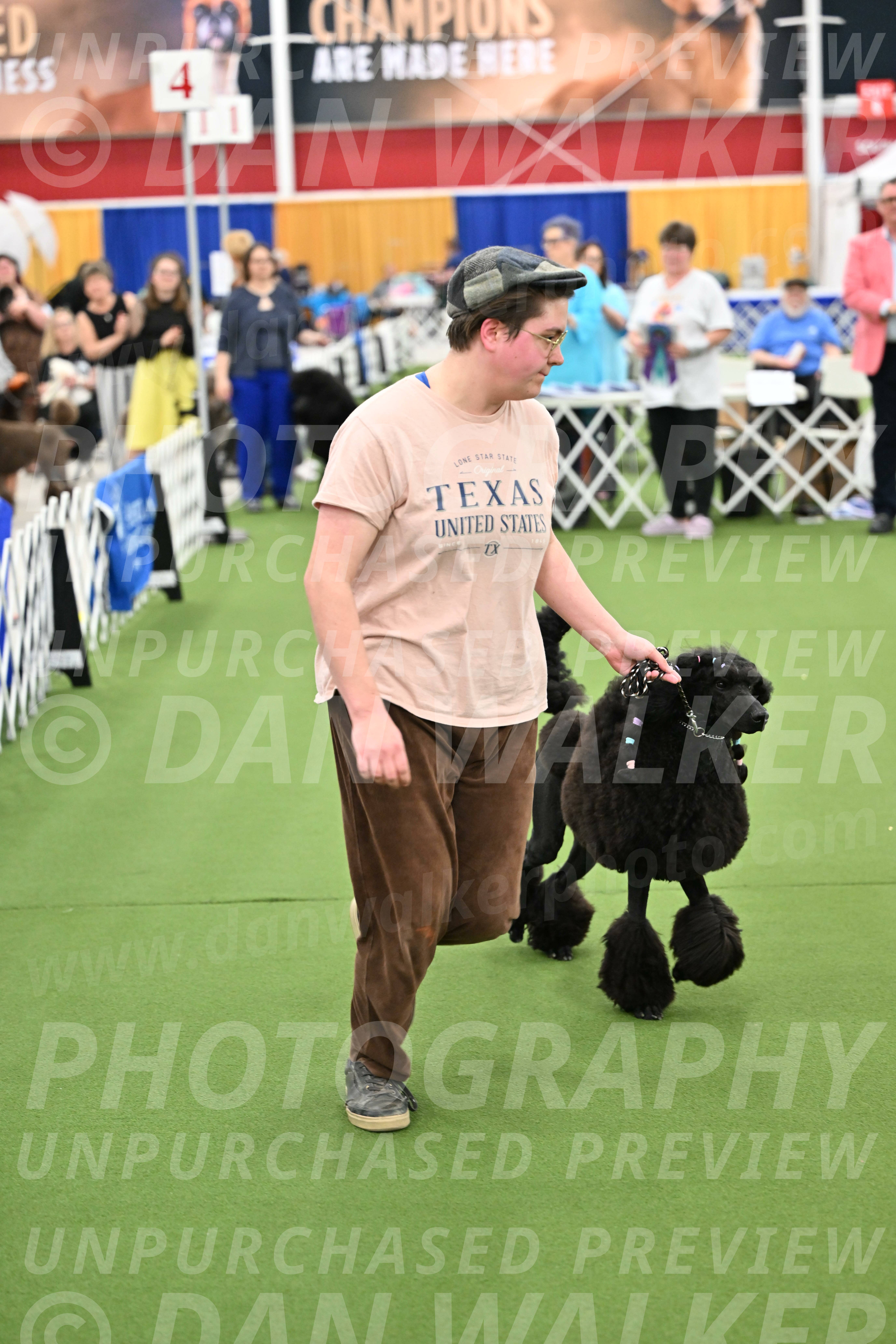 Parade-of-Titles_2694