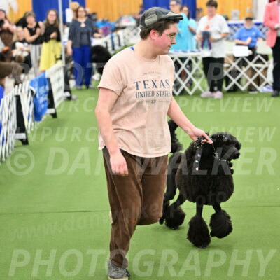 Parade-of-Titles_2694