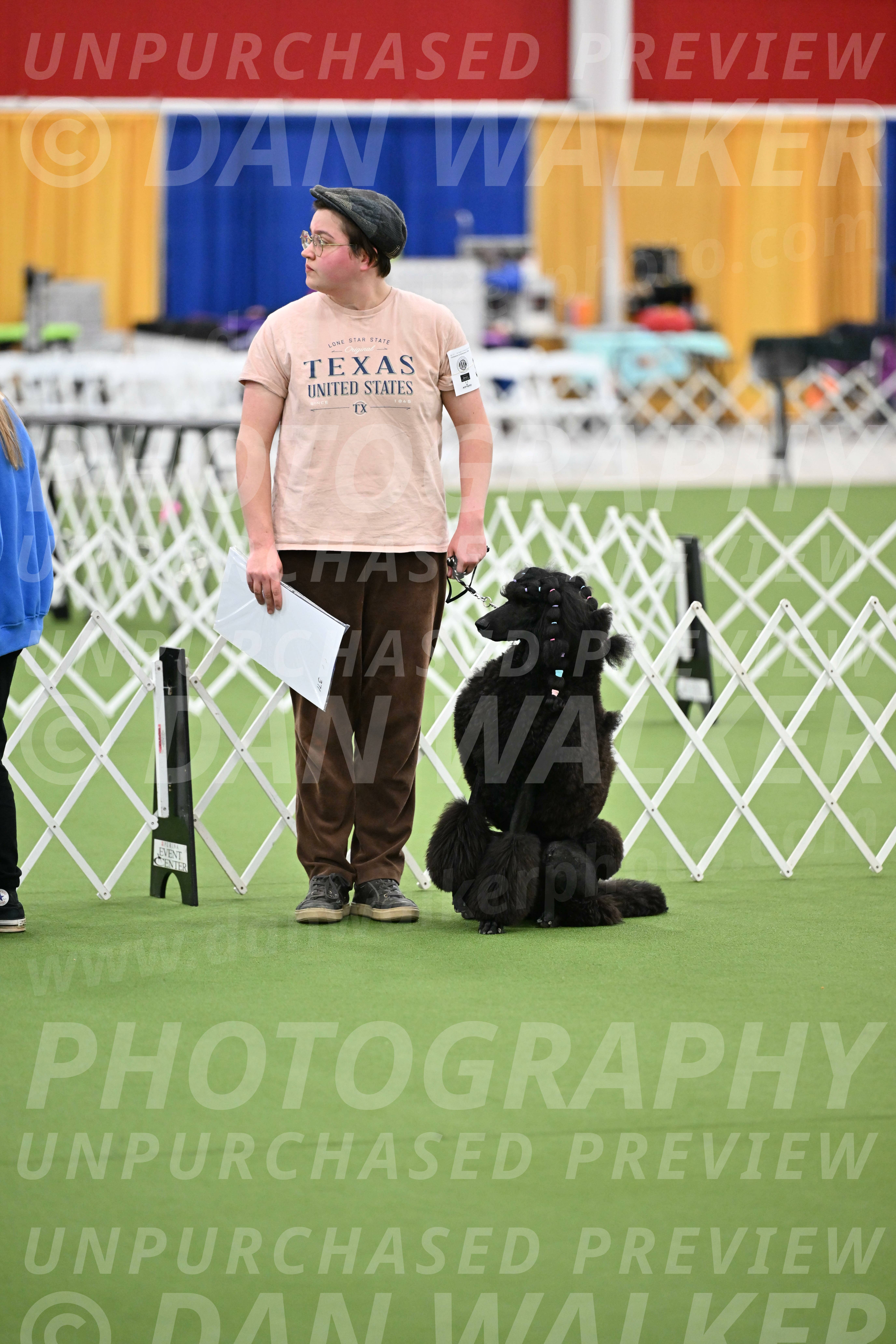 Parade-of-Titles_2695