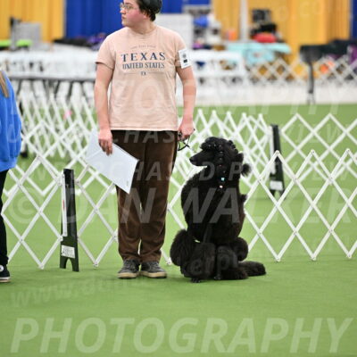 Parade-of-Titles_2695