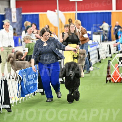 Parade-of-Titles_2696