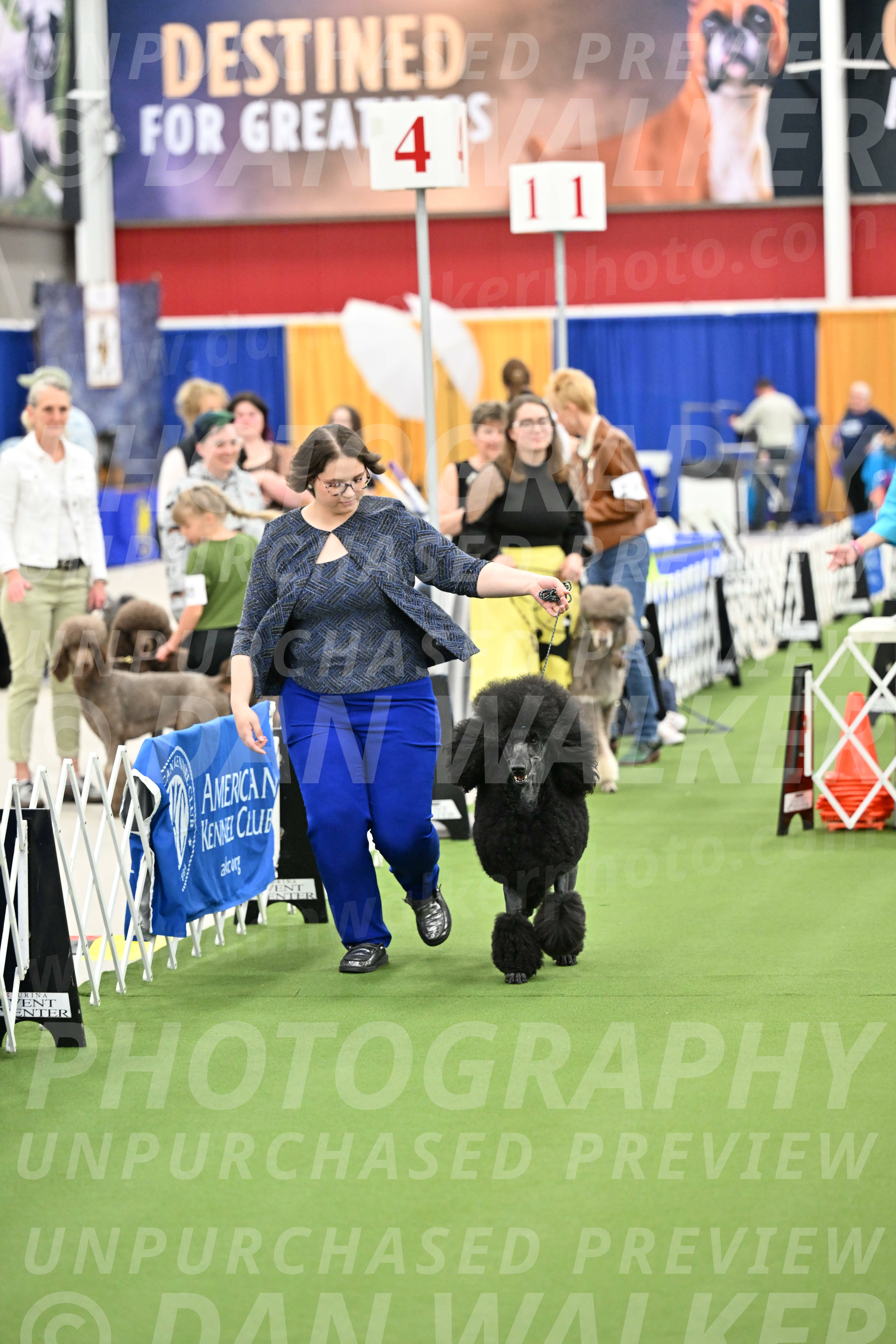 Parade-of-Titles_2696