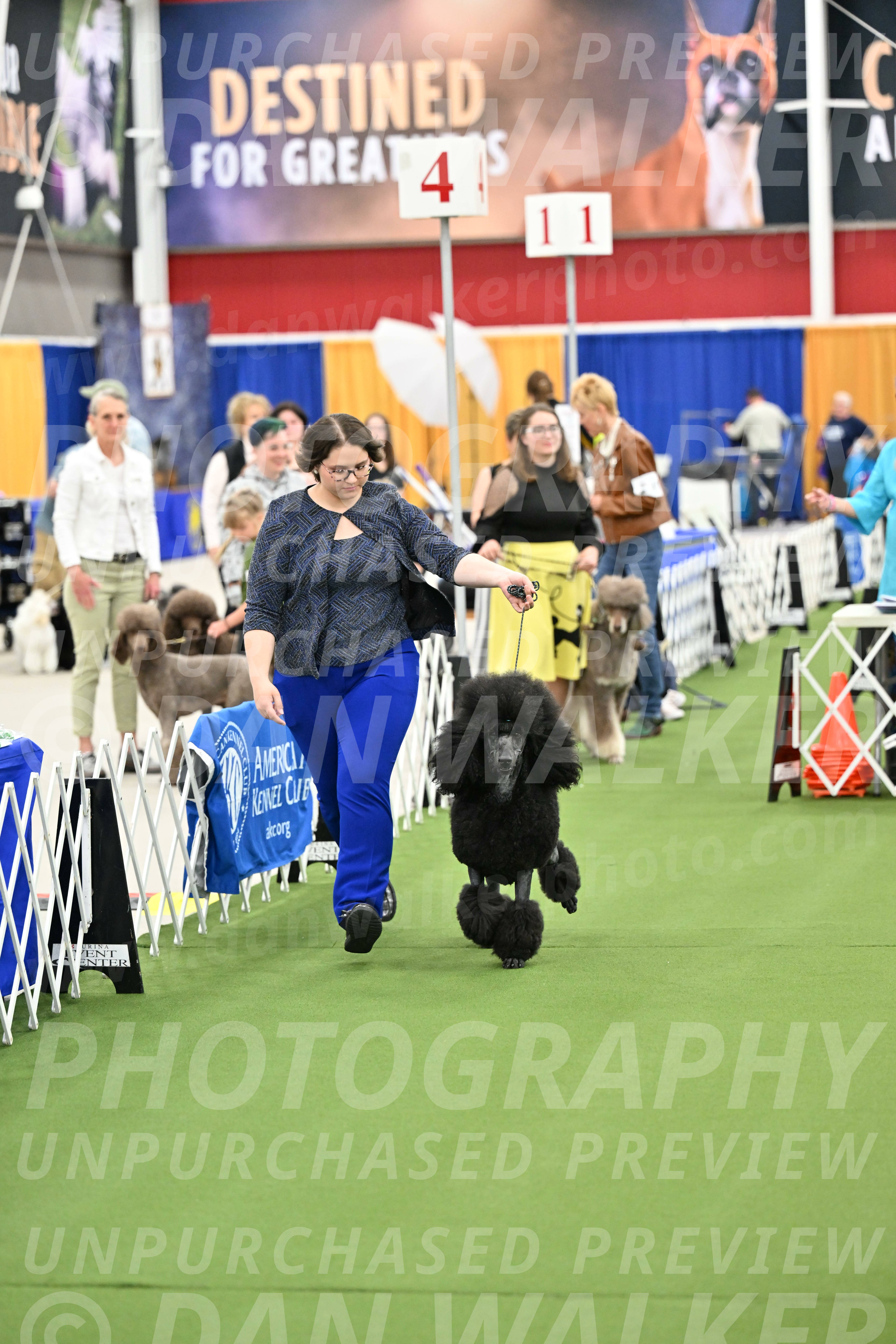 Parade-of-Titles_2697