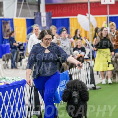 Parade-of-Titles_2698-Enhanced-NR