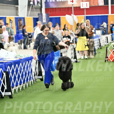 Parade-of-Titles_2698