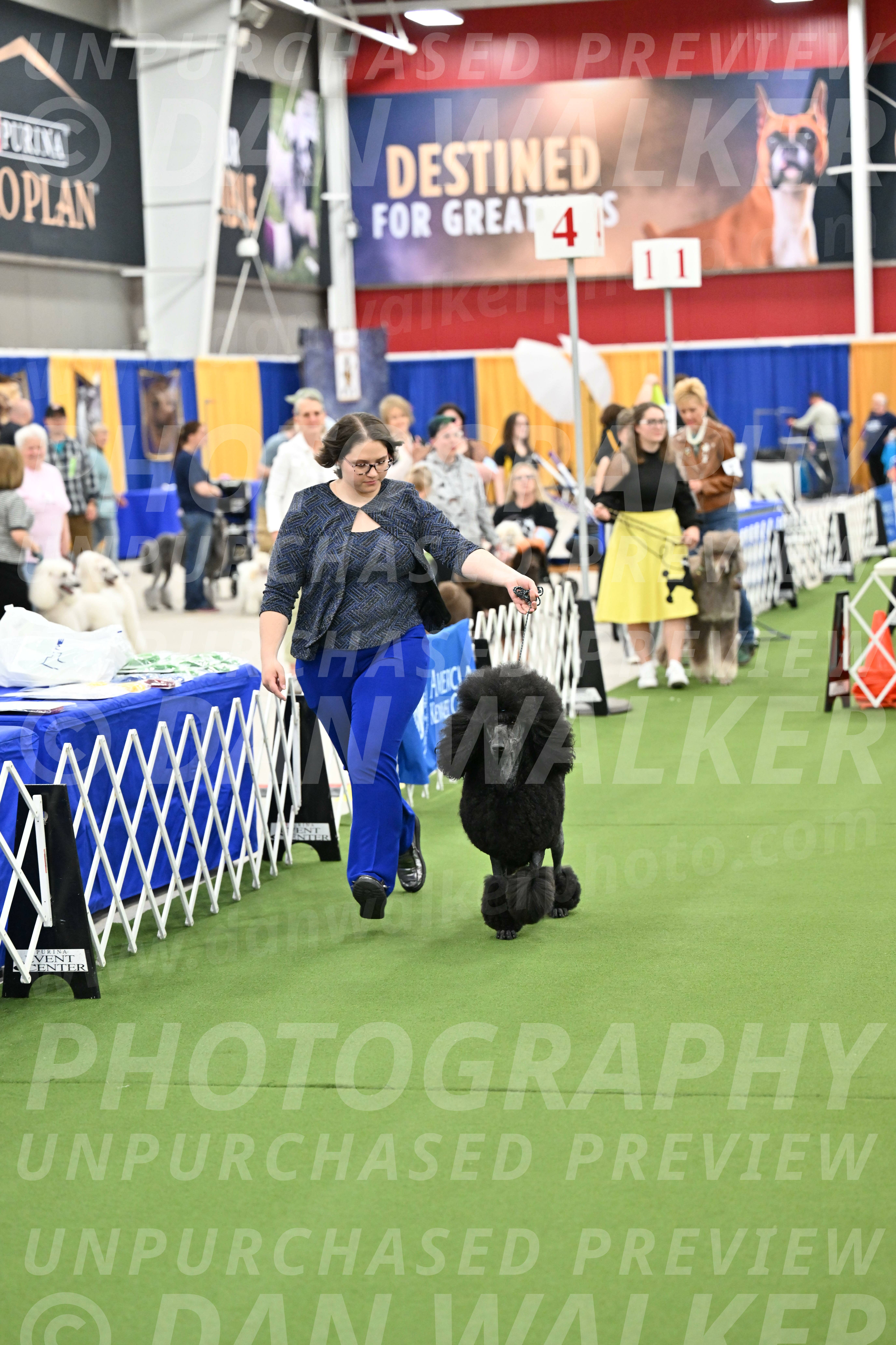 Parade-of-Titles_2698