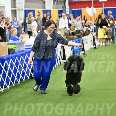 Parade-of-Titles_2701