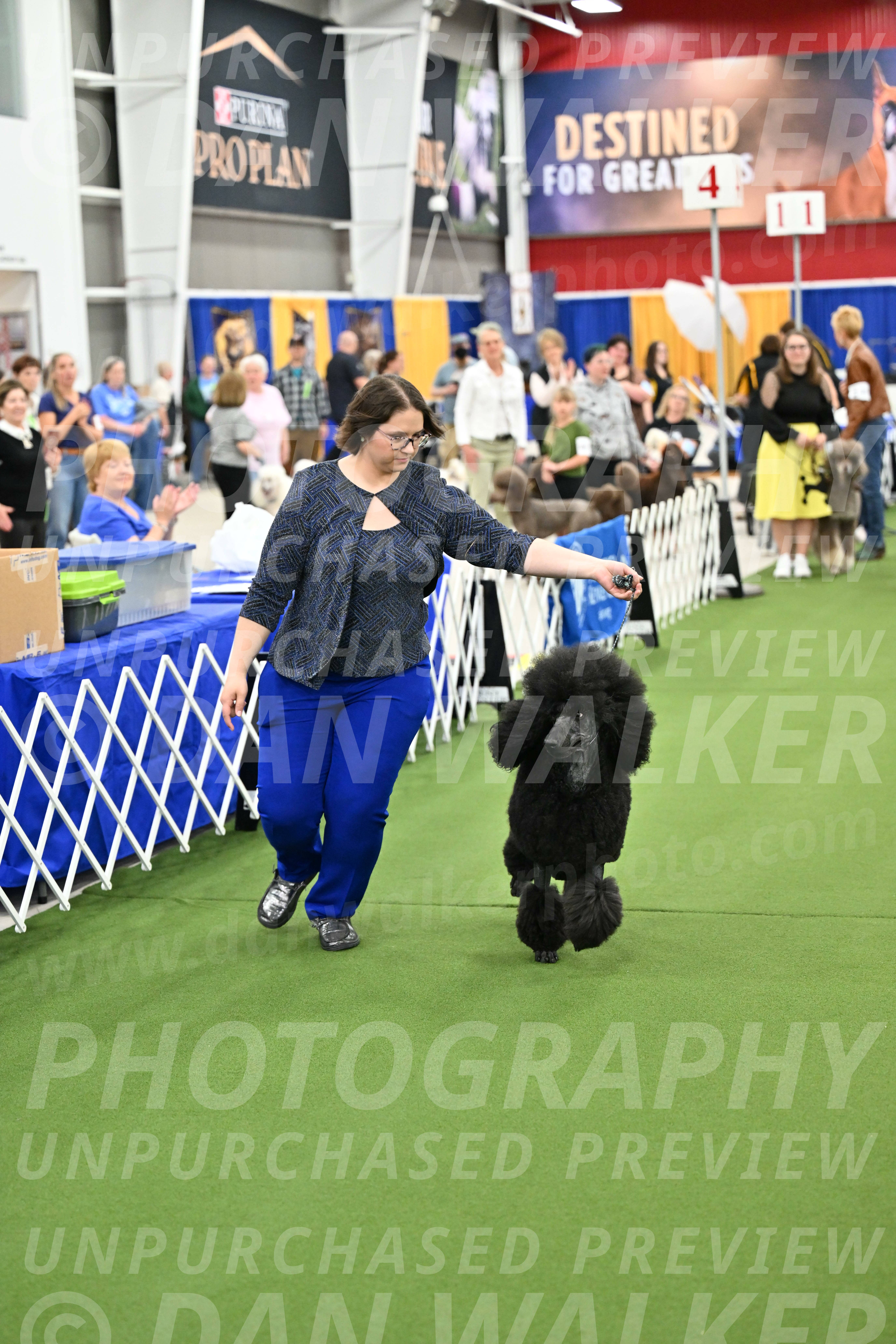 Parade-of-Titles_2701