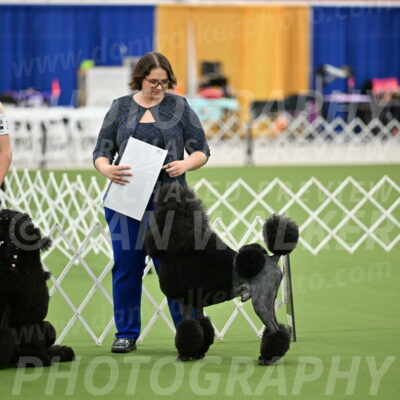 Parade-of-Titles_2702